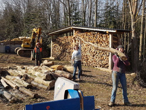Brennholz aus dem eigenen Wald